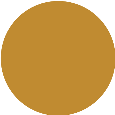 729